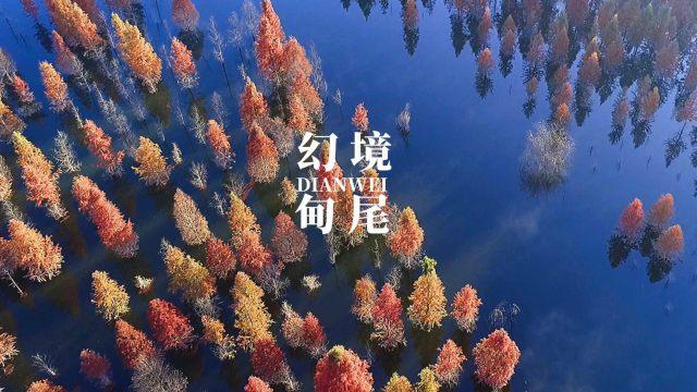 西延高铁全线最长桥梁富平特大桥首孔箱梁成功架设