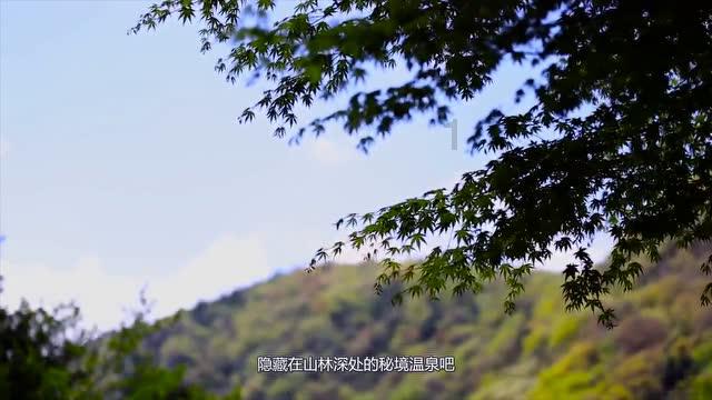 请问一下《变形记》讲的是一个什么事游戏画面
