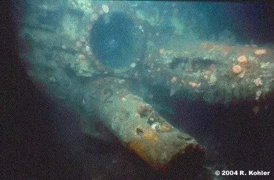 小猫钓鱼开船版最新版下载