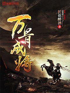 高级定制