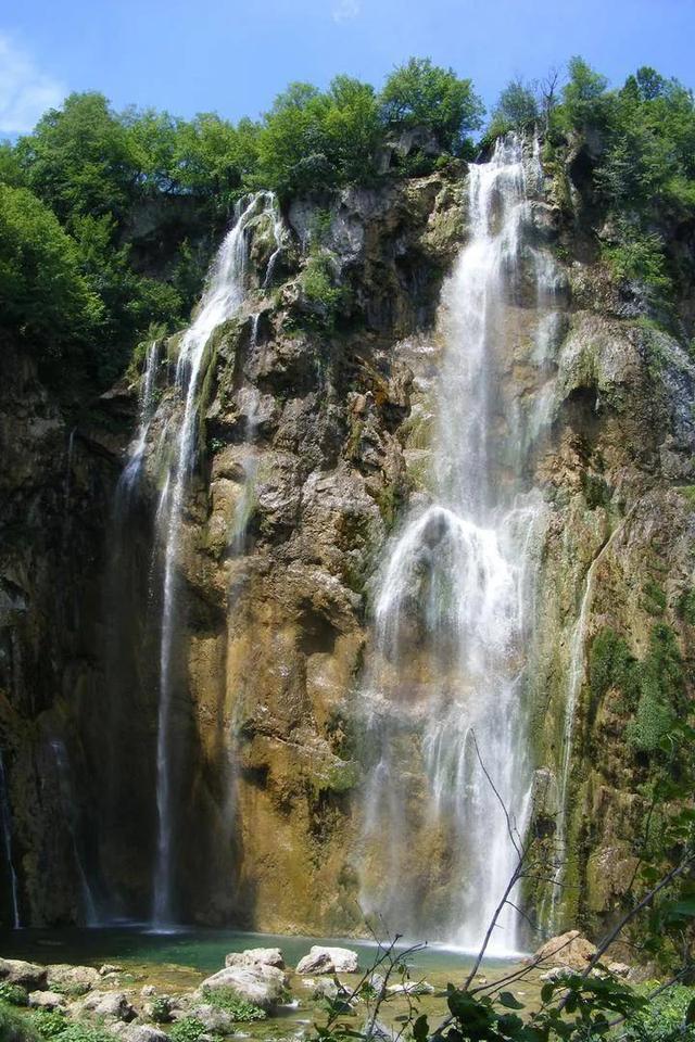 小仓鼠吃瓜子