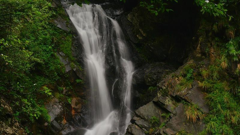 泡沫森林