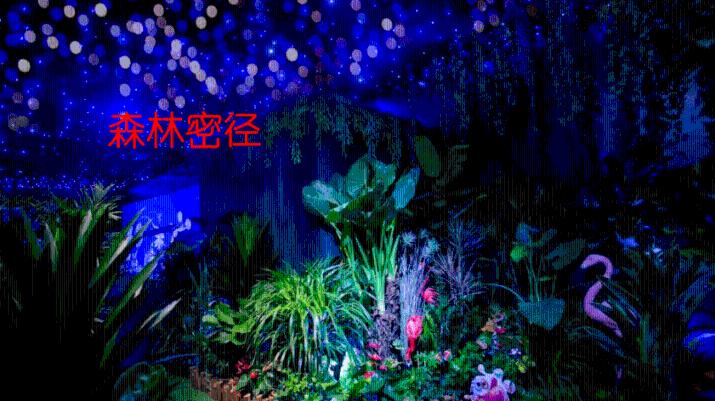 天水嘉伯乐营业面积是多少?-专业知识星球,深度分享交流平台